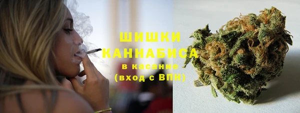 амф Арсеньев