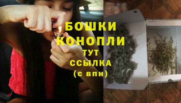дживик Липки