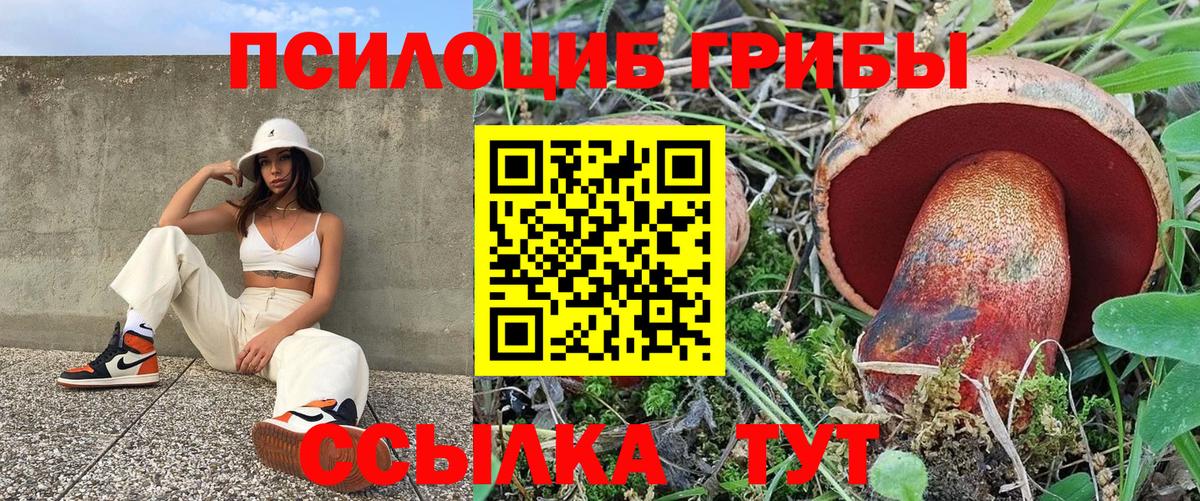Псилоцибиновые грибы Magic Shrooms Дербент