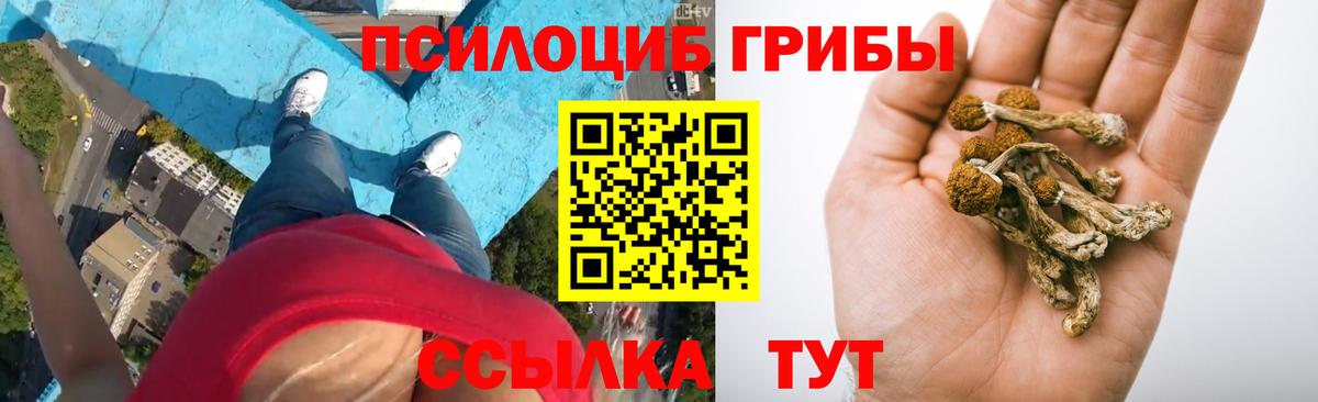 Галлюциногенные грибы MAGIC MUSHROOMS  Вход с VPN  где можно купить наркотик  Дербент 